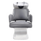 Dream In Reality Beauty Salon Backwash basin adjustable chair Bellus Wash DIR 7255