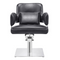 Dream In Reality Beauty Salon Hairdressing Styling Chair Vince DIR 1255