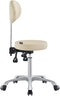 Dream In Reality Polaris Rolling Stool DIR 9025CYH