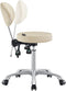 Dream In Reality Polaris Rolling Stool DIR 9025CYH