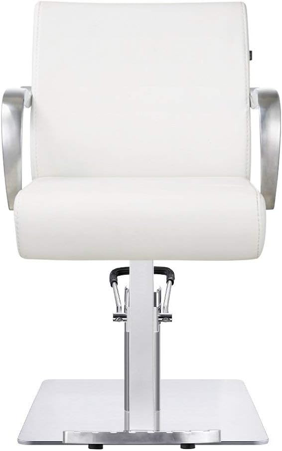 Dream In Reality Meteor Salon Styling Chair DIR 1198