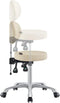 Dream In Reality Polaris Rolling Stool DIR 9025CYH