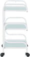 Dream In Reality White Damien Medical Spa Trolley Cart DIR 5014YH-WT