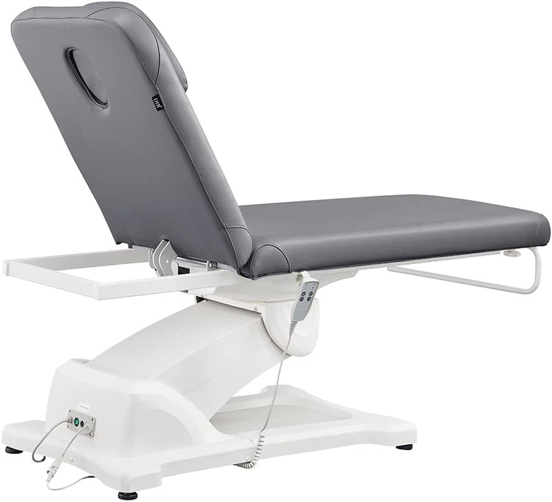 Dream In Reality Serenity Electric Treatment Table DIR 8808