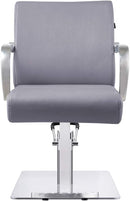 Dream In Reality Meteor Salon Styling Chair DIR 1198