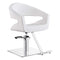 Dream In Reality Gama Beauty Salon Chairs DIR 1131