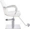 Dream In Reality Meteor Salon Styling Chair DIR 1198