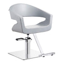 Dream In Reality Gama Beauty Salon Chairs DIR 1131