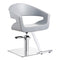 Dream In Reality Gama Beauty Salon Chairs DIR 1131