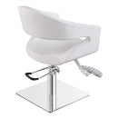 Dream In Reality Gama Beauty Salon Chairs DIR 1131