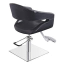 Dream In Reality Gama Beauty Salon Chairs DIR 1131