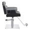 Dream In Reality The Empress Styling Salon Chair DIR 1661