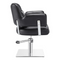 Dream In Reality Beauty Salon Hairdressing Styling Chair Vince DIR 1255