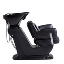 Dream In Reality Beauty Salon Backwash basin adjustable chair Bellus Wash DIR 7255