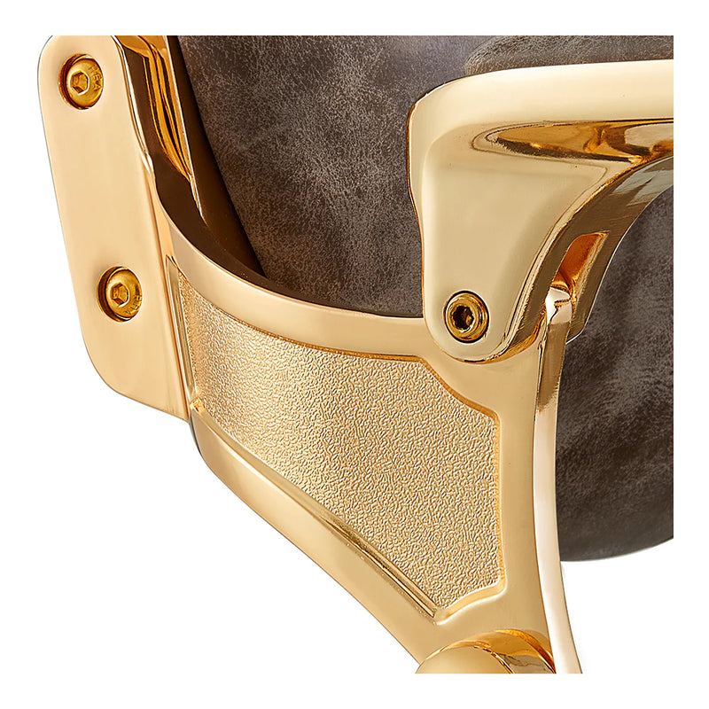 Dream In Reality Princeton Barber Chair - Gold DIR 2726