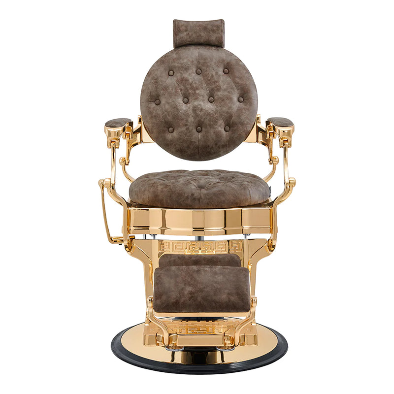Dream In Reality Princeton Barber Chair - Gold DIR 2726