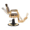 Dream In Reality Princeton Barber Chair - Gold DIR 2726