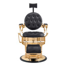 Dream In Reality Princeton Barber Chair - Gold DIR 2726