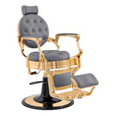 Dream In Reality Princeton Barber Chair - Gold DIR 2726