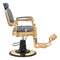 Dream In Reality Princeton Barber Chair - Gold DIR 2726