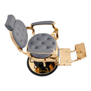 Dream In Reality Princeton Barber Chair - Gold DIR 2726