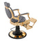 Dream In Reality Princeton Barber Chair - Gold DIR 2726