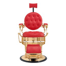 Dream In Reality Princeton Barber Chair - Gold DIR 2726