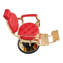 Dream In Reality Princeton Barber Chair - Gold DIR 2726