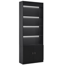 Dream In Reality Showcase LED Illumination Retail Display Cabinet DIR 6881