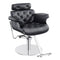 Dream In Reality Planet All Purpose Salon Chair DIR 1761