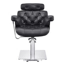 Dream In Reality Planet All Purpose Salon Chair DIR 1761