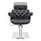 Dream In Reality Planet All Purpose Salon Chair DIR 1761