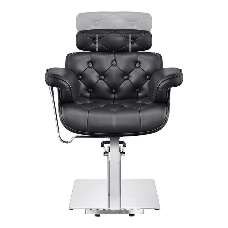 Dream In Reality Planet All Purpose Salon Chair DIR 1761