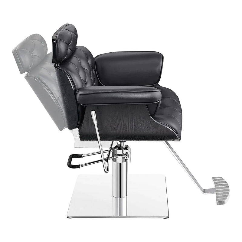 Dream In Reality Planet All Purpose Salon Chair DIR 1761