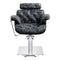 Dream In Reality Planet All Purpose Salon Chair DIR 1761