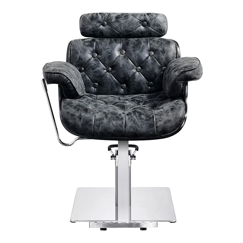 Dream In Reality Planet All Purpose Salon Chair DIR 1761