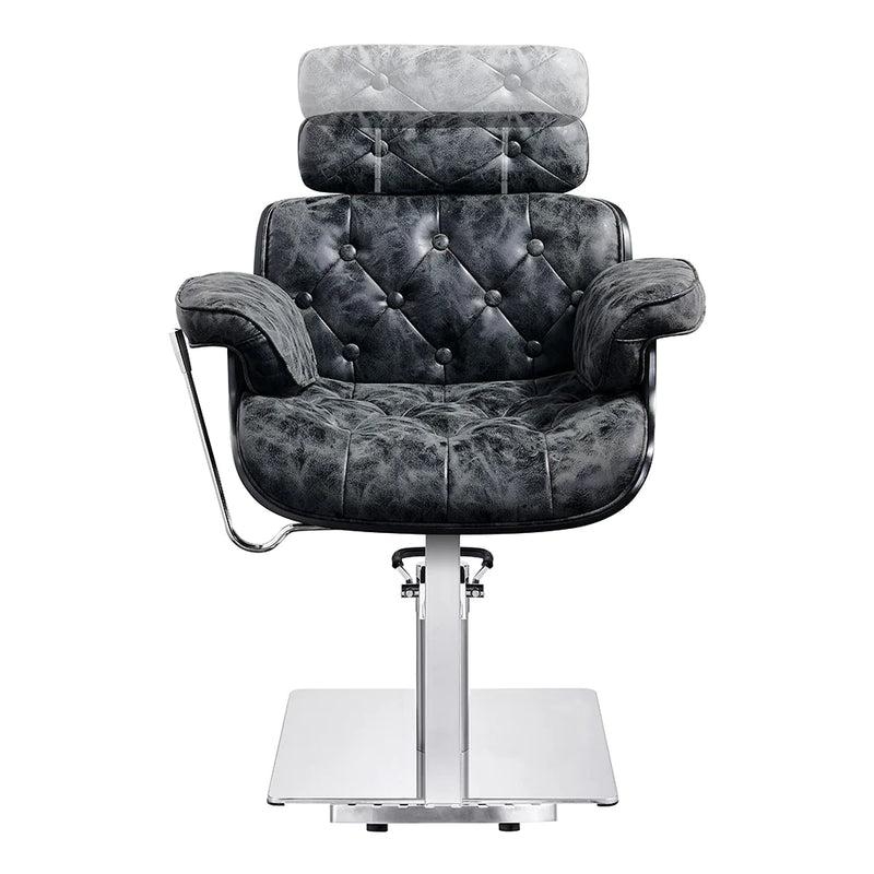 Dream In Reality Planet All Purpose Salon Chair DIR 1761
