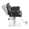 Dream In Reality Planet All Purpose Salon Chair DIR 1761