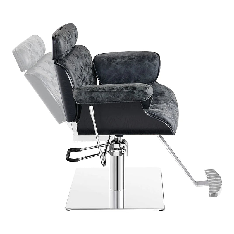 Dream In Reality Planet All Purpose Salon Chair DIR 1761
