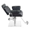 Dream In Reality Planet All Purpose Salon Chair DIR 1761
