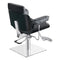 Dream In Reality Planet All Purpose Salon Chair DIR 1761