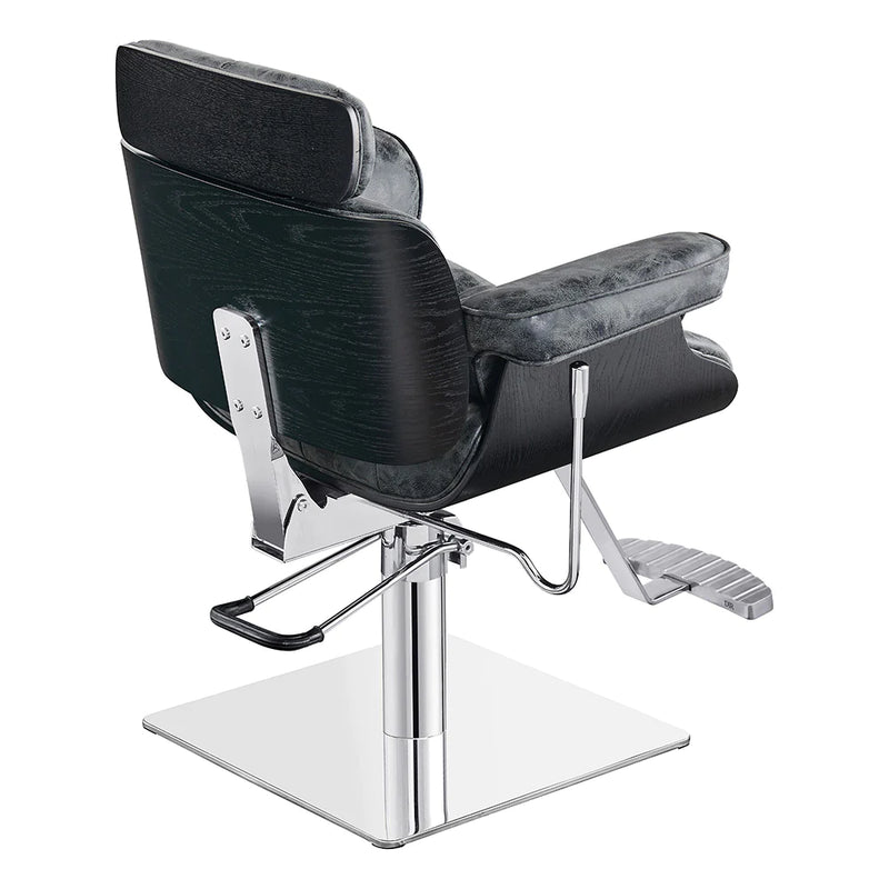 Dream In Reality Planet All Purpose Salon Chair DIR 1761