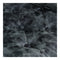 Dream In Reality Planet All Purpose Salon Chair DIR 1761