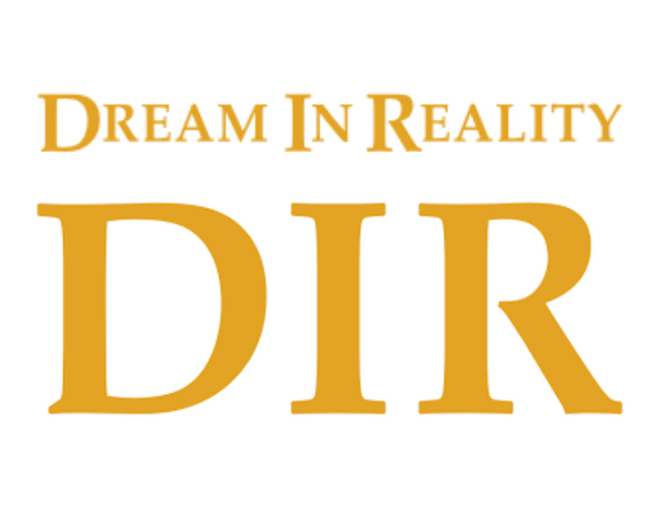 Dream In Reality Sink Support DIR 7001