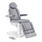 Dream In Reality Ink Electric Esthetician Chair - 3 Motors DIR 8103