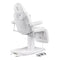 Dream In Reality Ink Electric Esthetician Chair - 3 Motors DIR 8103