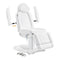 Dream In Reality Ink Electric Esthetician Chair - 3 Motors DIR 8103