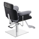 Dream In Reality Planet All Purpose Salon Chair DIR 1761