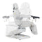 Dream In Reality Fiona Exam Table With Stirrups DIR 8246EBYH-stirrups