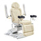 Dream In Reality Fiona Exam Table With Stirrups DIR 8246EBYH-stirrups